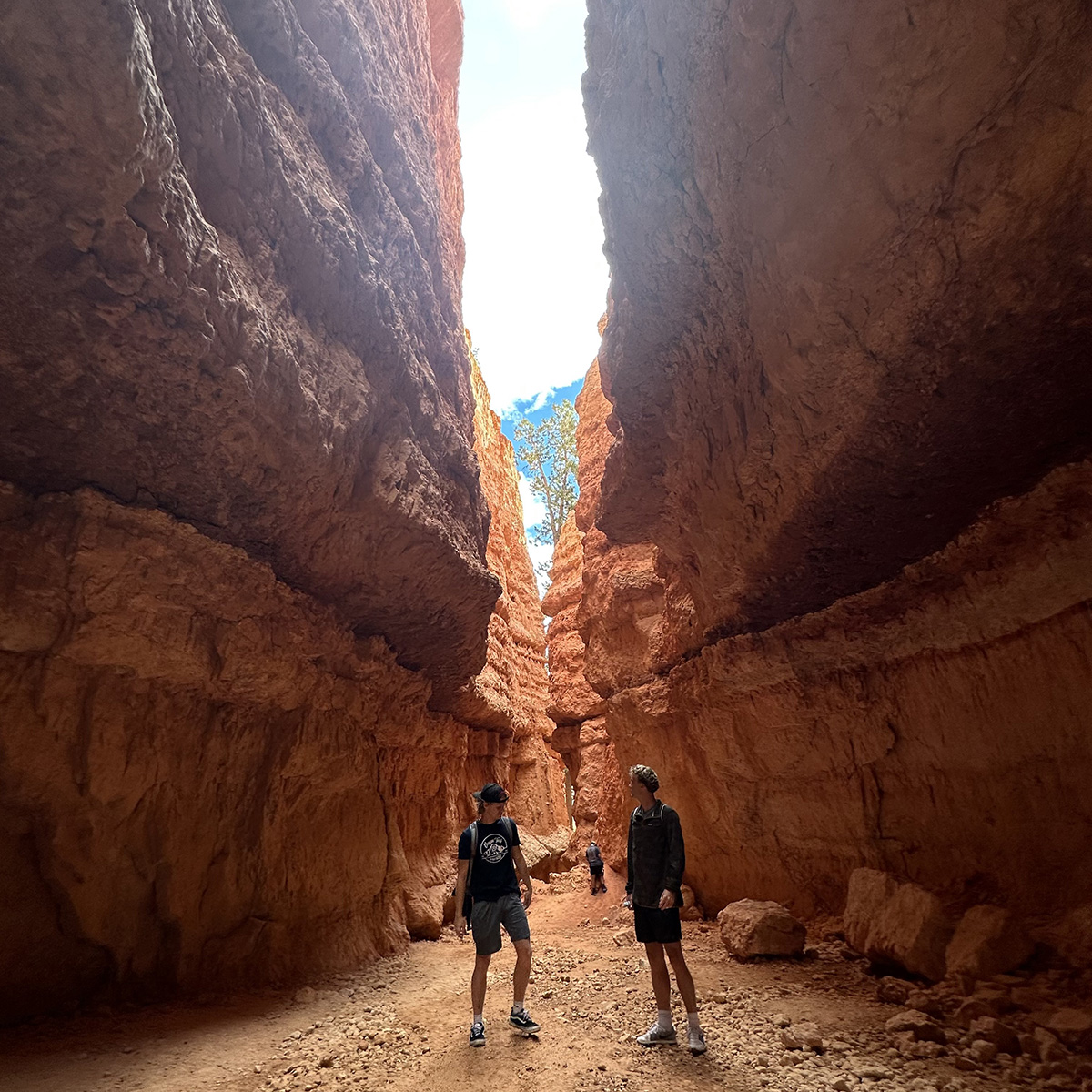 picture in Bryce Canyon national park