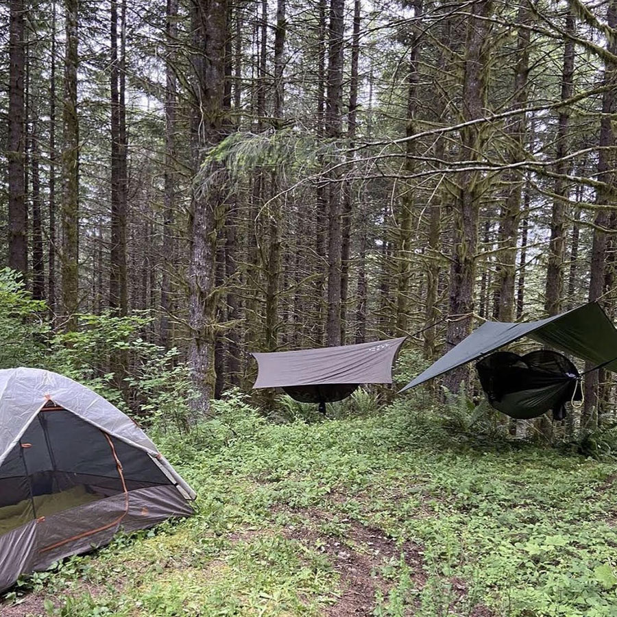 hammocks hanging on trees at camp site in southern washington