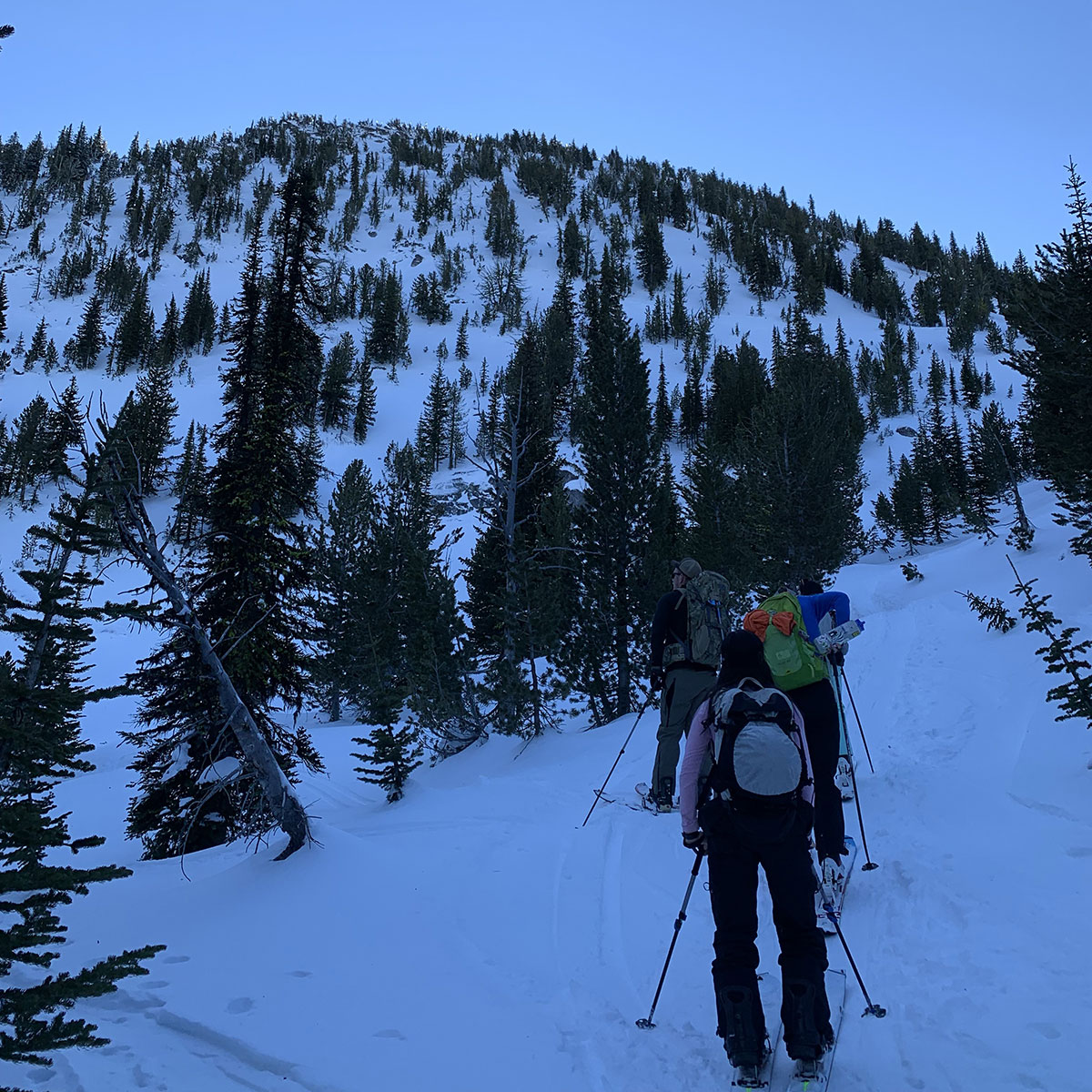 backcountry skiing and splitboarding with group near anthony lakes ski resort oregon