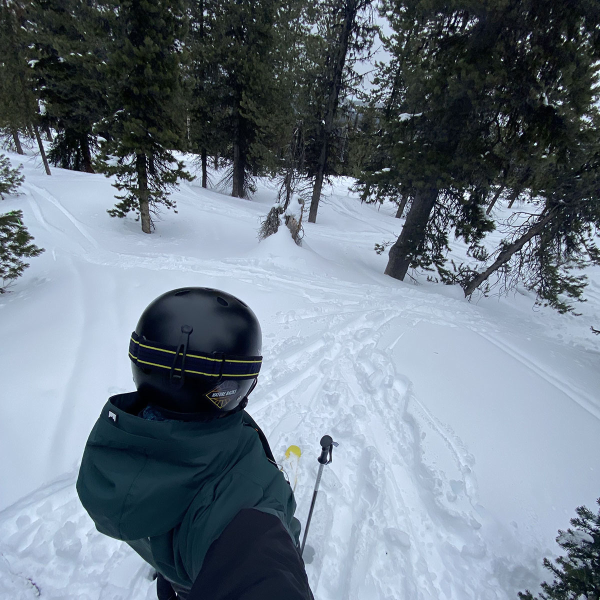 skiing inn the trees, picture behing the skier with nature backs sticker on ski helmate