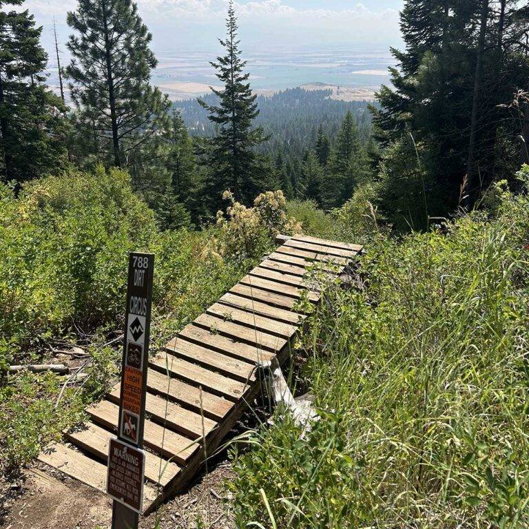 Wooden trail bridge through a forested mountain ridge
