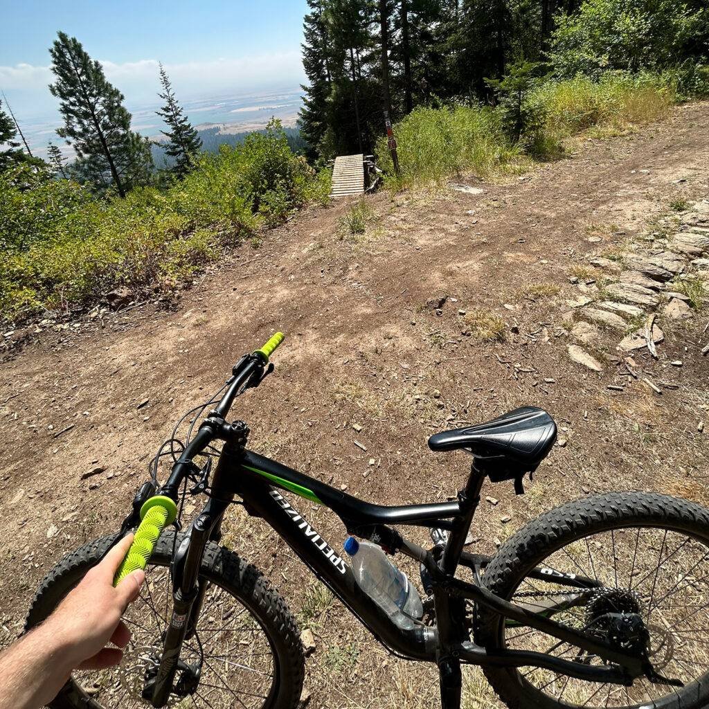 Mountain bike resting on a forested overlook trail