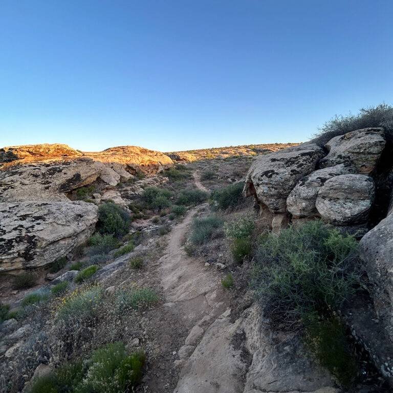 Mountain biking the Bearclaw Poppy Trail in the Green Valley Trail System