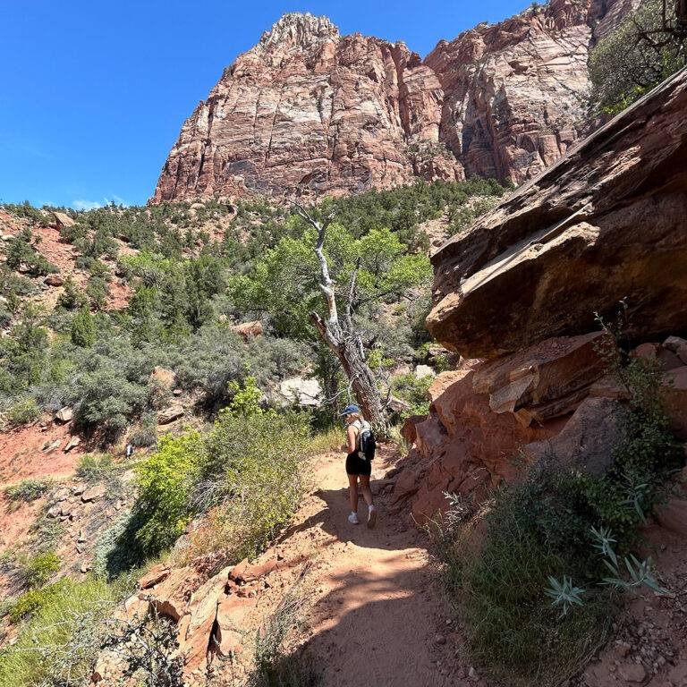Hiking the Watchman Trail with Zion’s peaks in view